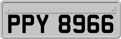 PPY8966