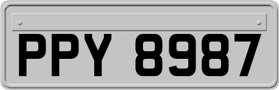 PPY8987
