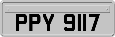PPY9117