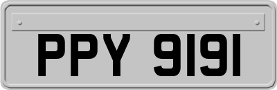 PPY9191