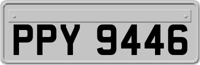 PPY9446
