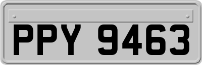 PPY9463