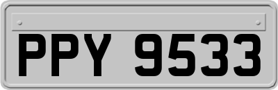 PPY9533