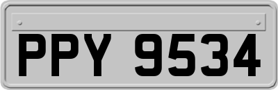 PPY9534