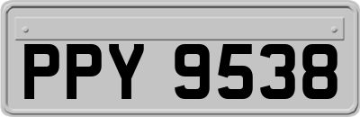 PPY9538