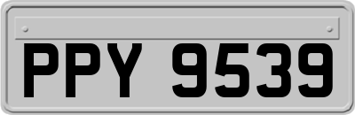 PPY9539