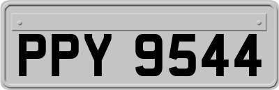 PPY9544