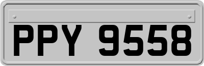 PPY9558