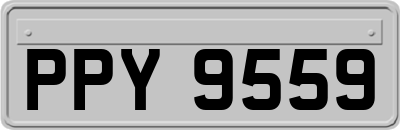 PPY9559
