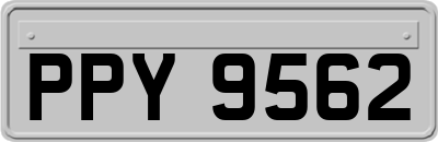 PPY9562