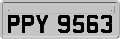 PPY9563