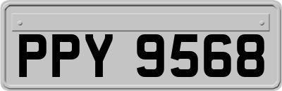 PPY9568