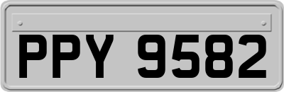 PPY9582