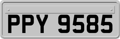 PPY9585