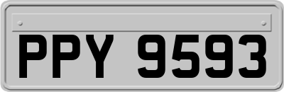 PPY9593
