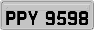 PPY9598