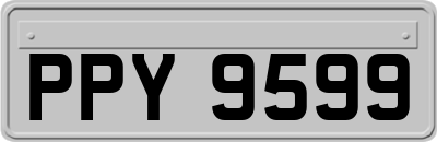 PPY9599