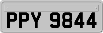 PPY9844