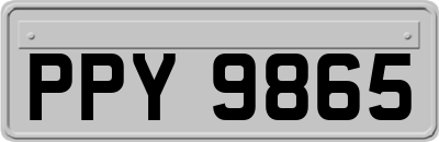 PPY9865