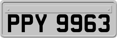 PPY9963