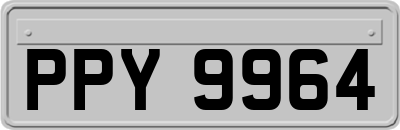 PPY9964