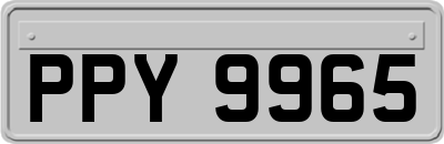 PPY9965