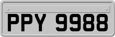 PPY9988