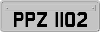 PPZ1102