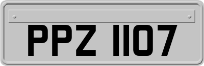 PPZ1107