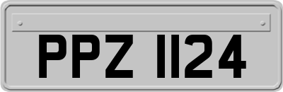 PPZ1124