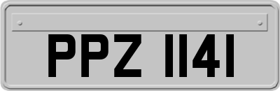 PPZ1141