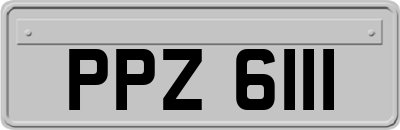 PPZ6111