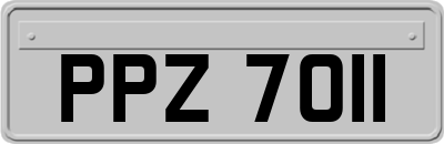 PPZ7011