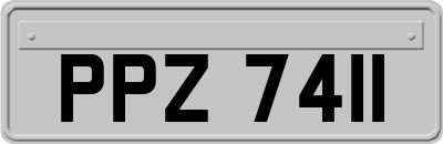 PPZ7411