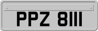 PPZ8111
