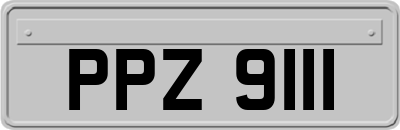 PPZ9111
