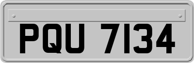 PQU7134