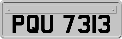 PQU7313