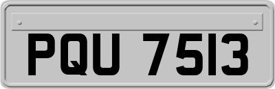 PQU7513