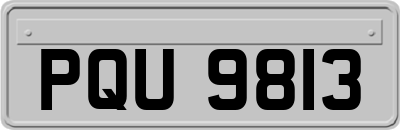 PQU9813