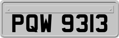 PQW9313