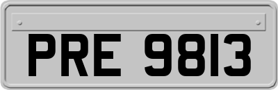 PRE9813