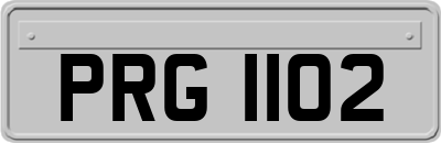 PRG1102