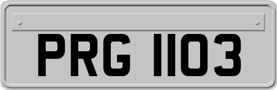 PRG1103