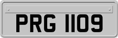 PRG1109