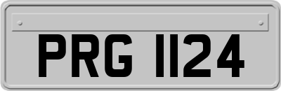 PRG1124