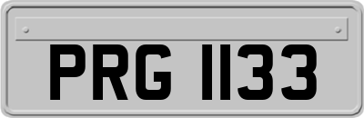 PRG1133