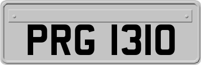 PRG1310