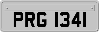 PRG1341