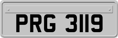 PRG3119